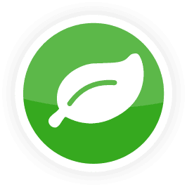 Environmentally Friendly Product Icon