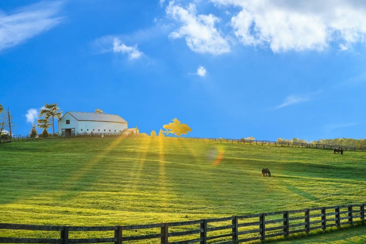 Open Land Ready For Custom Home Building In Northwest Arkansas