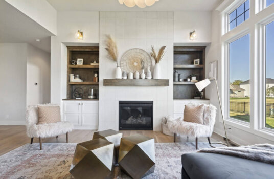 Living Room Built In Cabinets With Storage