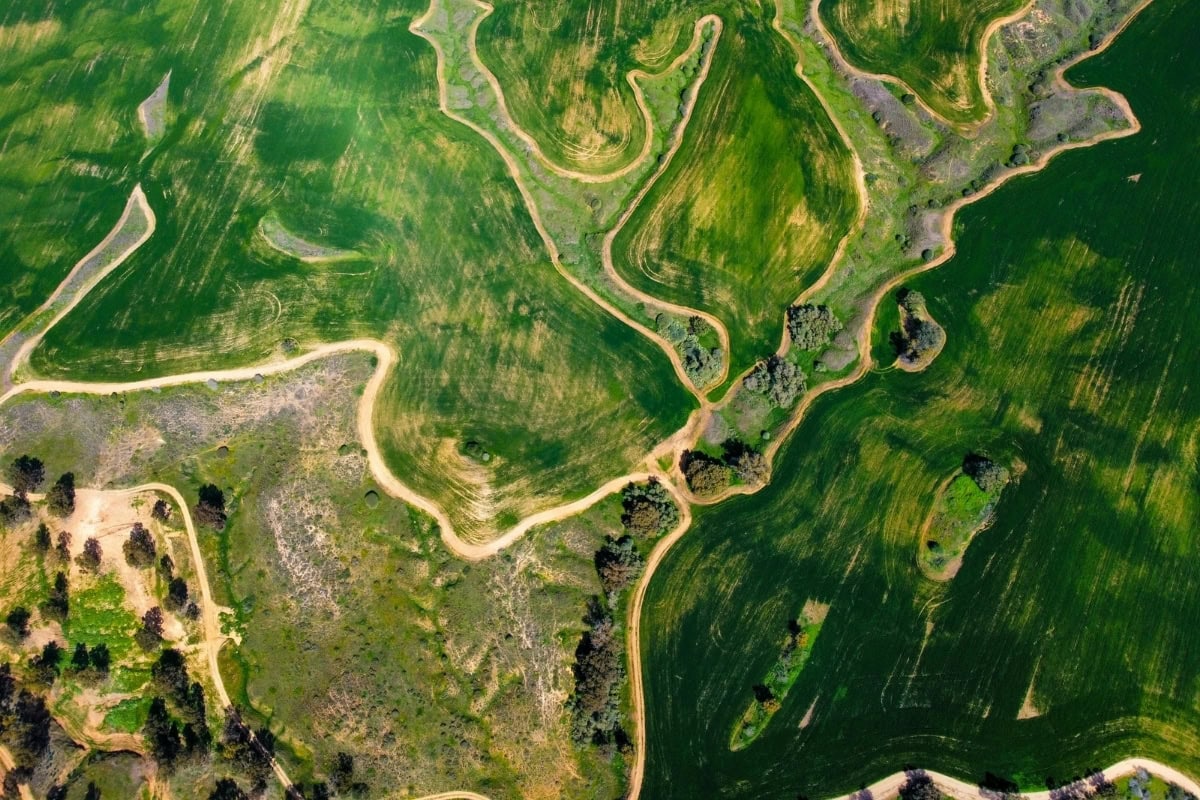 Farmland Aerial Pattern In Arkansas