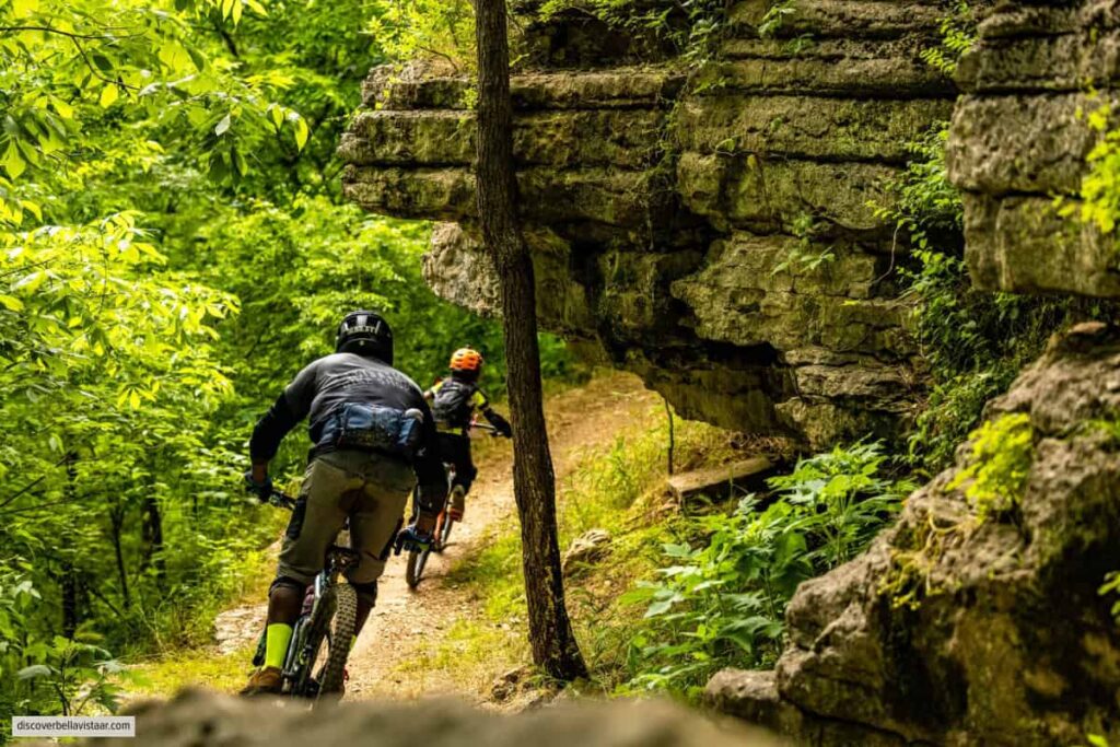 Mountain Biker Riding A Trail Through The Woods In Bella Vista Arkansas