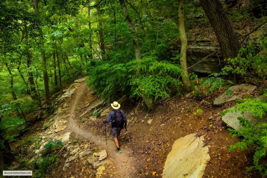 Hiker Walking Along A Forest Trail In Bella Vista Arkansas