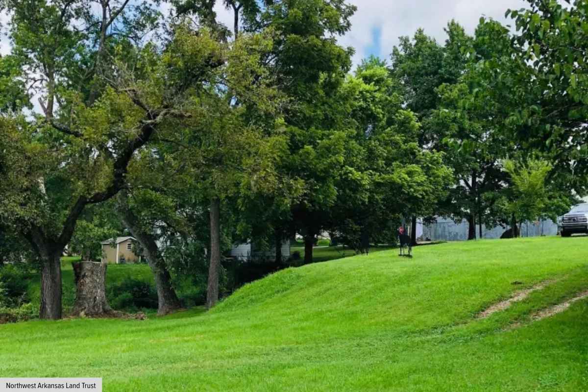 Green park and picnic area in Elm Springs Arkansas