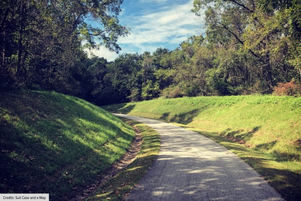 Scenic Country Road Surrounded By Trees In Pea Ridge Arkansas