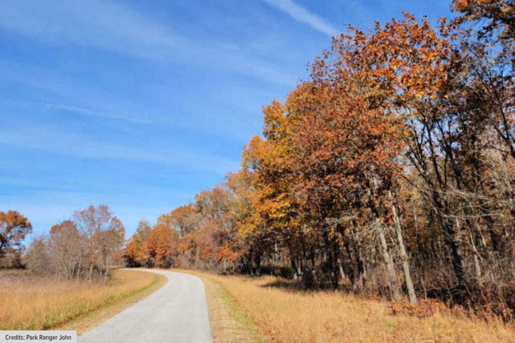 Fall Foliage Along A Rural Country Road In Pea Ridge Arkansas