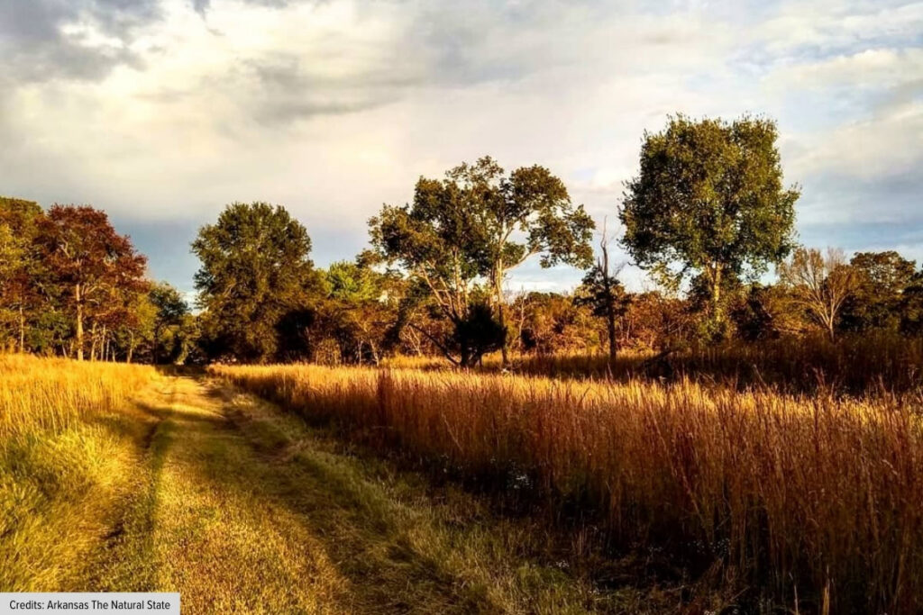 Open Field Landscape At Pea Ridge National Military Park In Arkansas