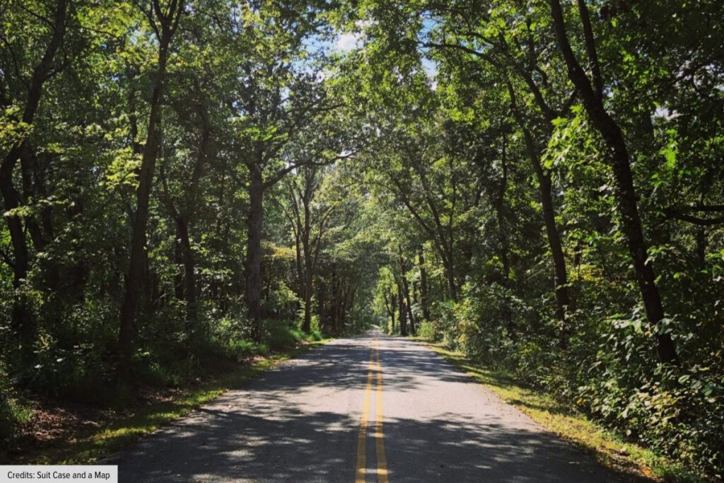 Wooded Rural Road Through Forest In Pea Ridge Arkansas
