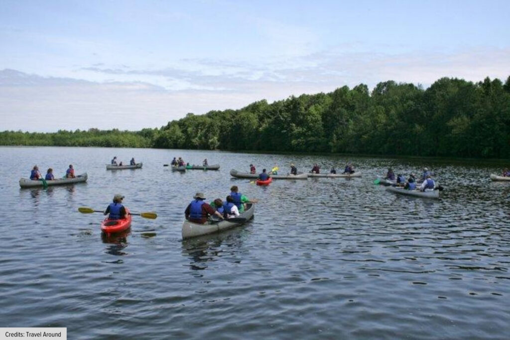 Kayaking On Beaver Lake Near Rogers Arkansas
